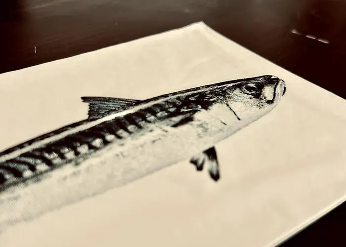 公寓 La Terrazza Sul Centro