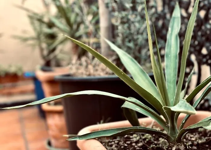 公寓 La Terrazza Sul Centro *