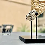 La Terrazza Sul Centro